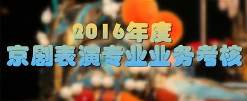 插逼网站国家京剧院2016年度京剧表演专业业务考...